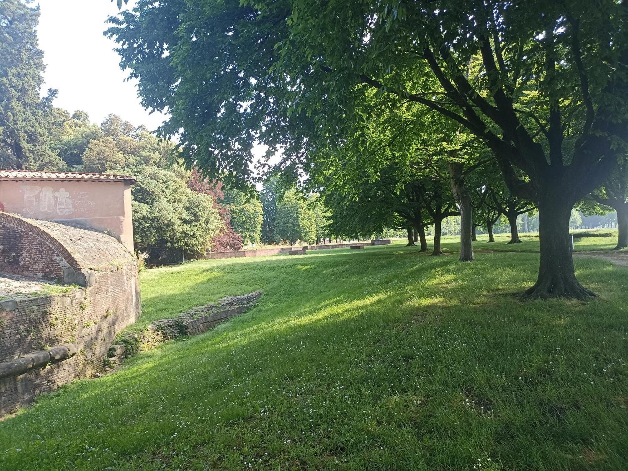 Villa Gem In The City Center Of Lucca With Air Conditioning - Exclusive Ground Floor House Inside The Walls Close To Botanical Garden And Piazza San Martino Extérieur photo